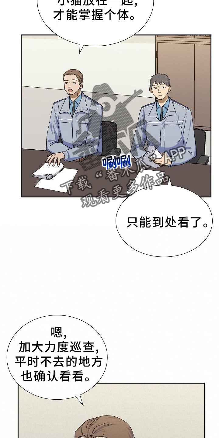 《再相会》漫画最新章节第31章：侦察免费下拉式在线观看章节第【19】张图片