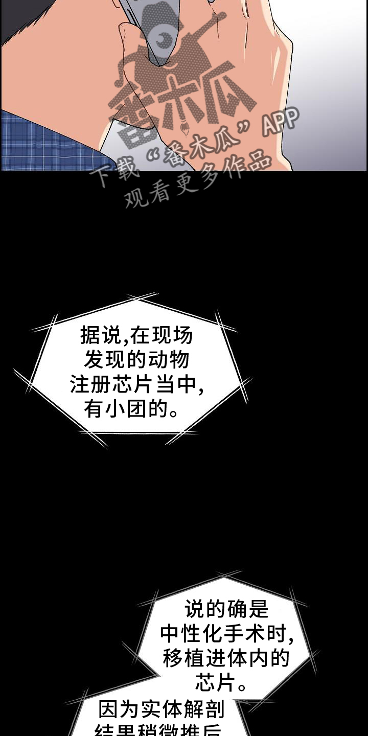 《再相会》漫画最新章节第32章：约饭免费下拉式在线观看章节第【21】张图片