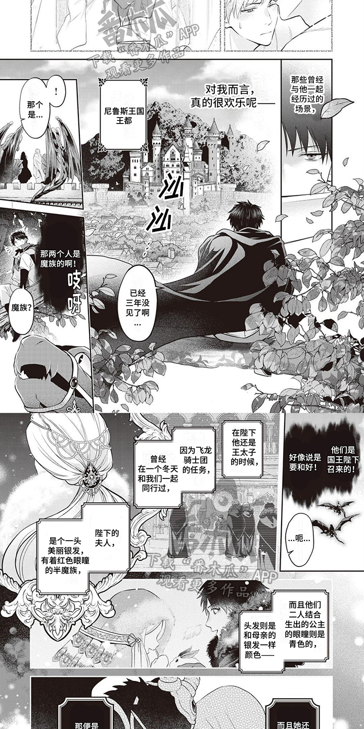 《半魔龙骑士》漫画最新章节第7章：龙骑士免费下拉式在线观看章节第【5】张图片