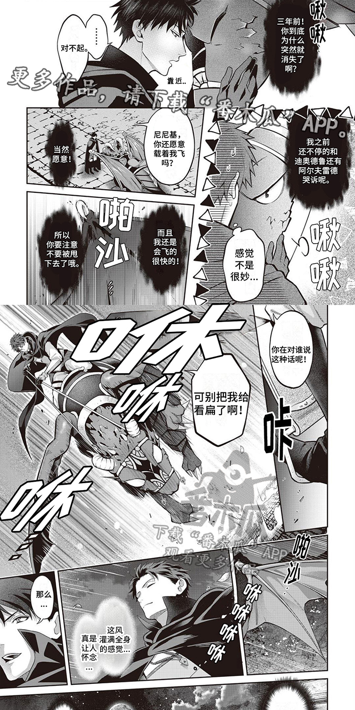 《半魔龙骑士》漫画最新章节第7章：龙骑士免费下拉式在线观看章节第【7】张图片