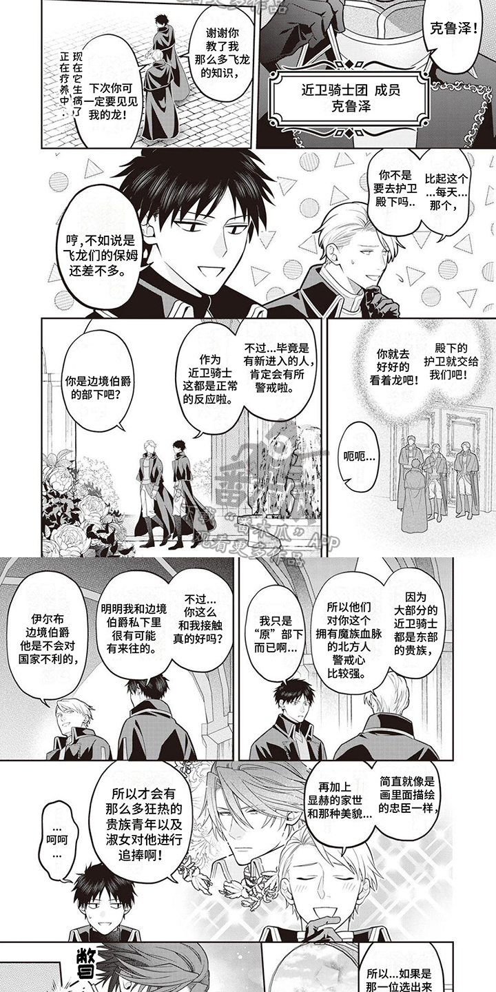 《半魔龙骑士》漫画最新章节第11章：受欢迎免费下拉式在线观看章节第【3】张图片