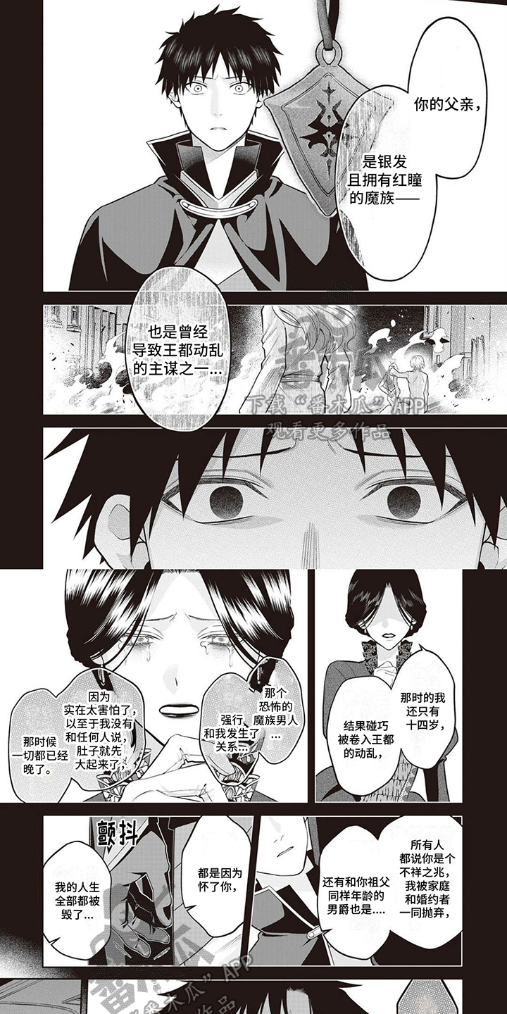 《半魔龙骑士》漫画最新章节第17章：真相免费下拉式在线观看章节第【3】张图片