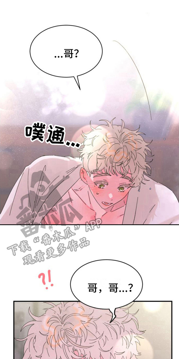 《爱是心之所向》漫画最新章节第4章：撒酒疯免费下拉式在线观看章节第【3】张图片