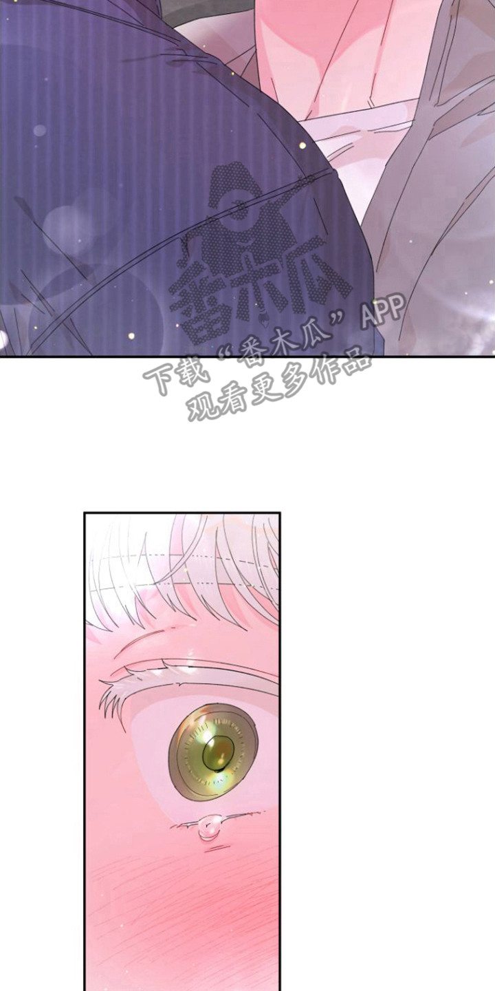 《爱是心之所向》漫画最新章节第10章：情不自禁免费下拉式在线观看章节第【8】张图片