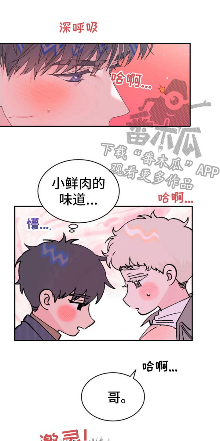 《爱是心之所向》漫画最新章节第11章：疼爱 免费下拉式在线观看章节第【8】张图片