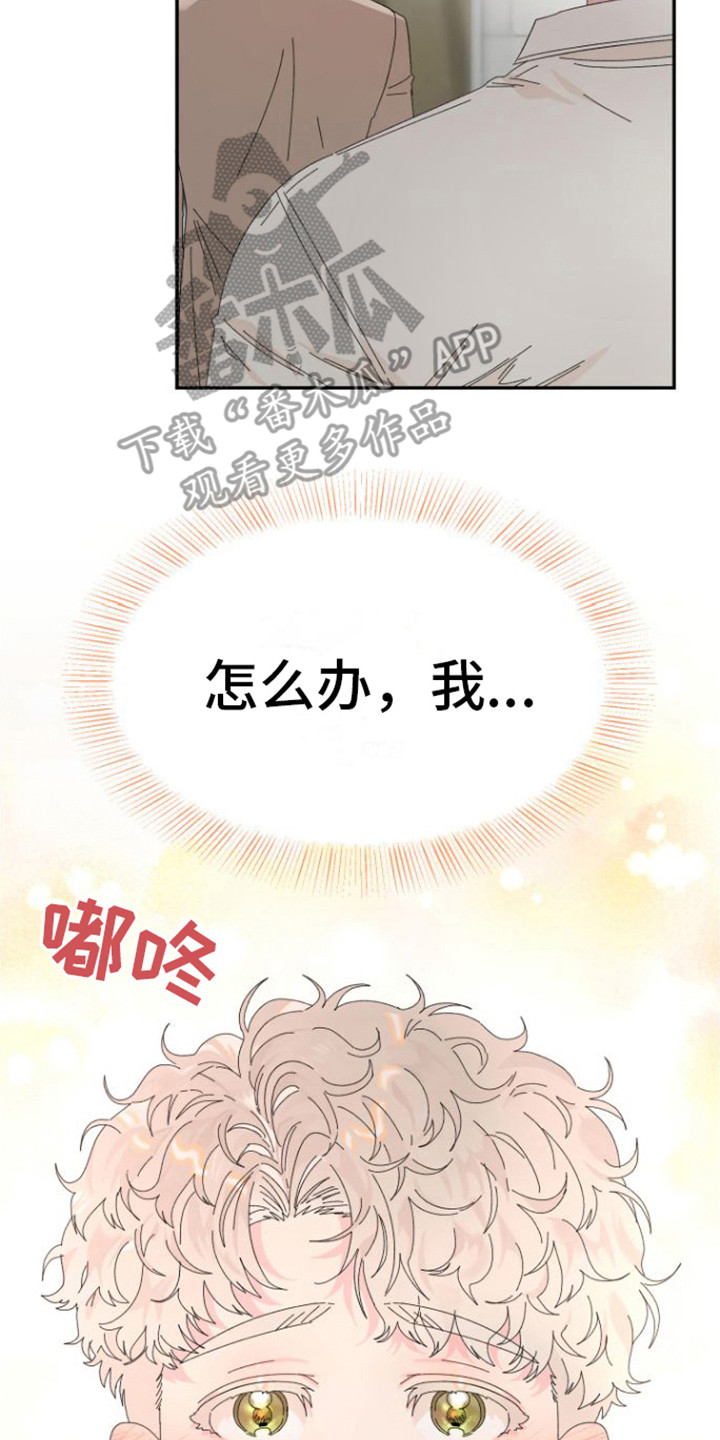 《爱是心之所向》漫画最新章节第17章：约会免费下拉式在线观看章节第【17】张图片