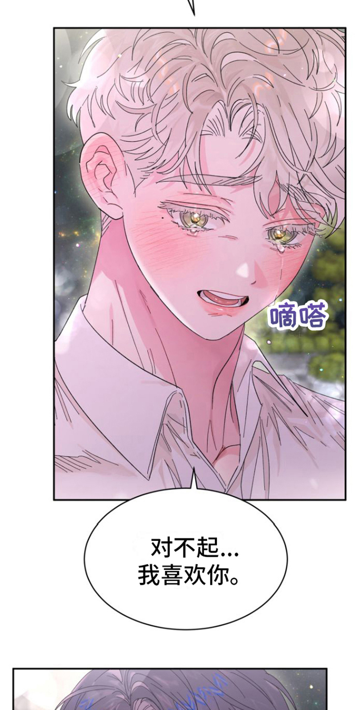 《爱是心之所向》漫画最新章节第20章：解释免费下拉式在线观看章节第【13】张图片