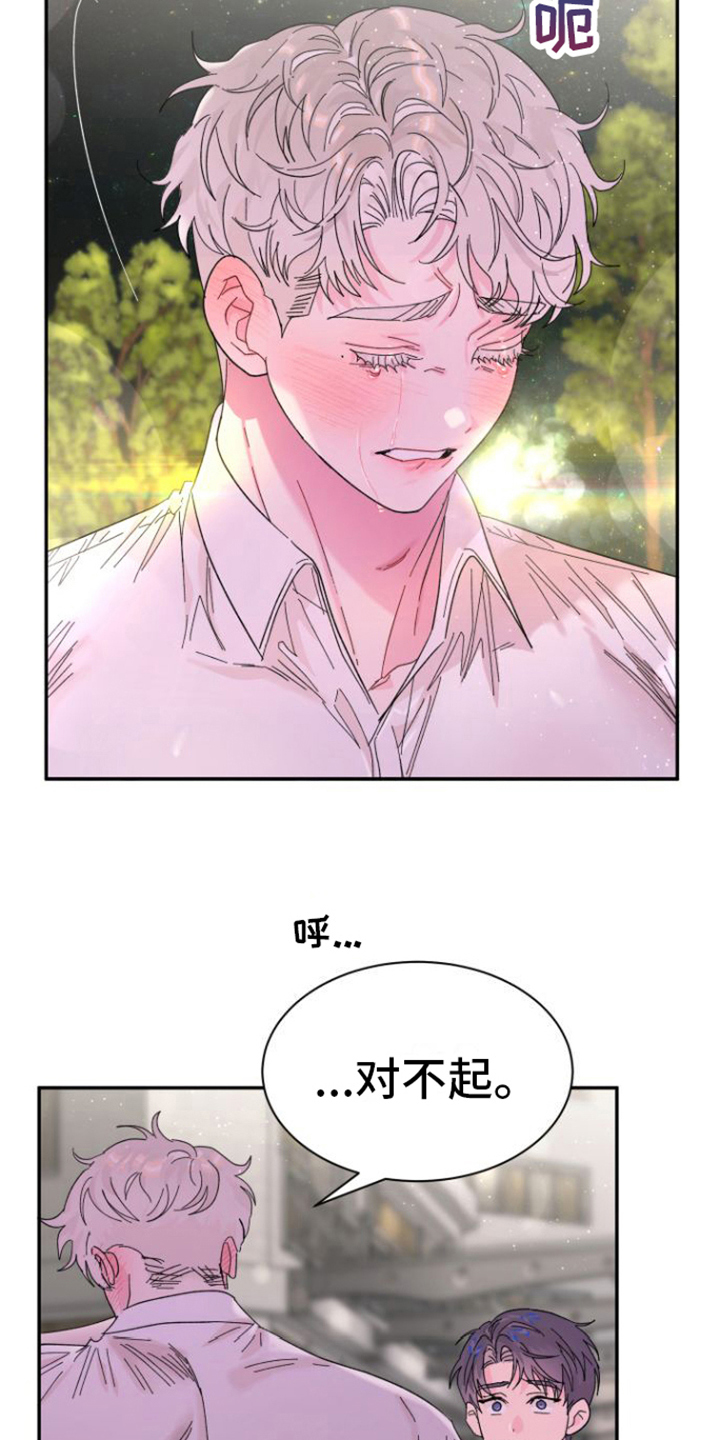 《爱是心之所向》漫画最新章节第20章：解释免费下拉式在线观看章节第【16】张图片