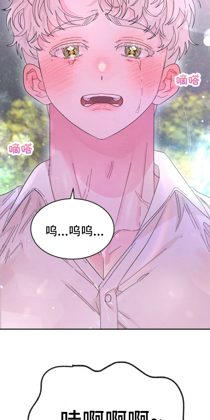 《爱是心之所向》漫画最新章节第20章：解释免费下拉式在线观看章节第【2】张图片