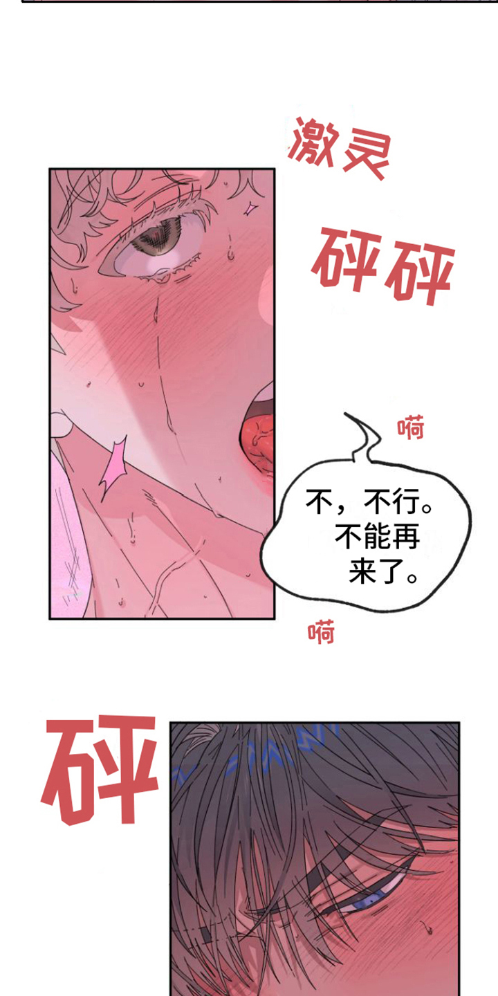 《爱是心之所向》漫画最新章节第21章：交往免费下拉式在线观看章节第【3】张图片