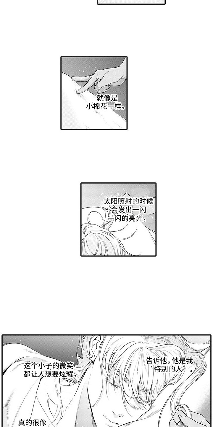 《撒哈拉的幸福者》漫画最新章节第1章：黑秃鹫免费下拉式在线观看章节第【8】张图片