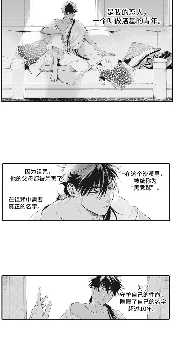 《撒哈拉的幸福者》漫画最新章节第1章：黑秃鹫免费下拉式在线观看章节第【13】张图片