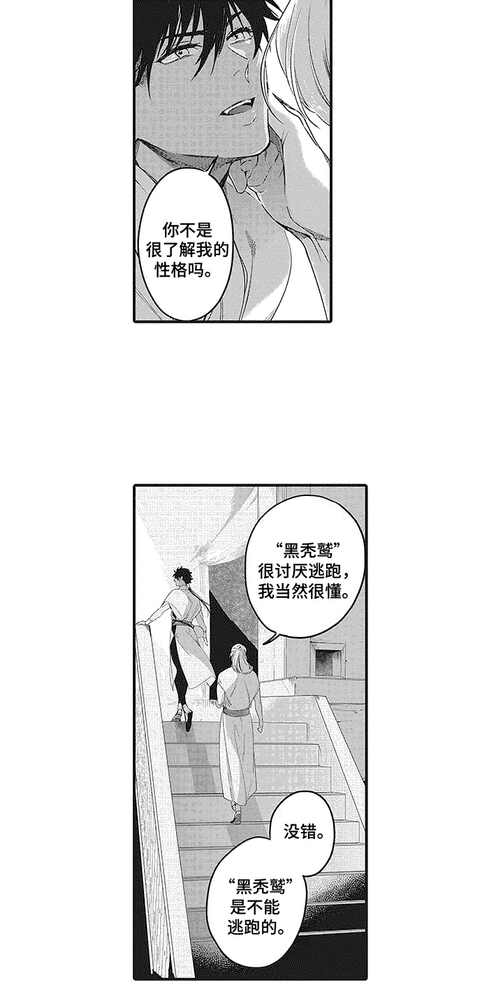 《撒哈拉的幸福者》漫画最新章节第3章： 贸易市场免费下拉式在线观看章节第【9】张图片