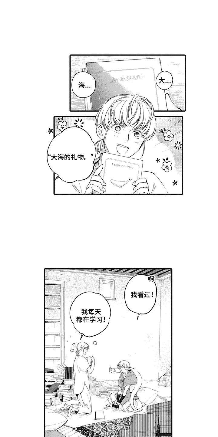 《撒哈拉的幸福者》漫画最新章节第6章：整理免费下拉式在线观看章节第【14】张图片