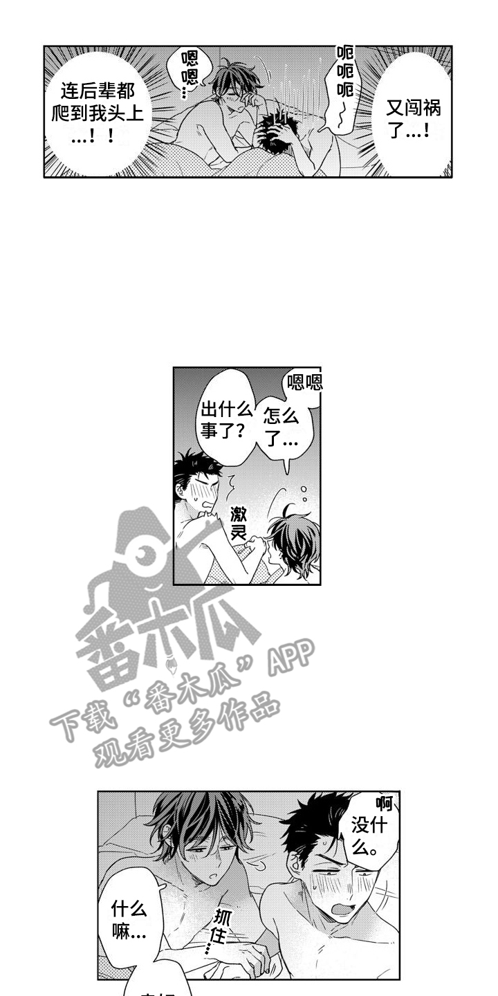 《高野警官》漫画最新章节第6章：证明 免费下拉式在线观看章节第【5】张图片