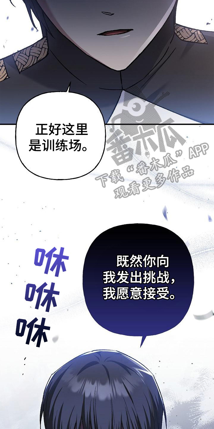 《魔兵传奇》漫画最新章节第24章：发出挑战免费下拉式在线观看章节第【2】张图片