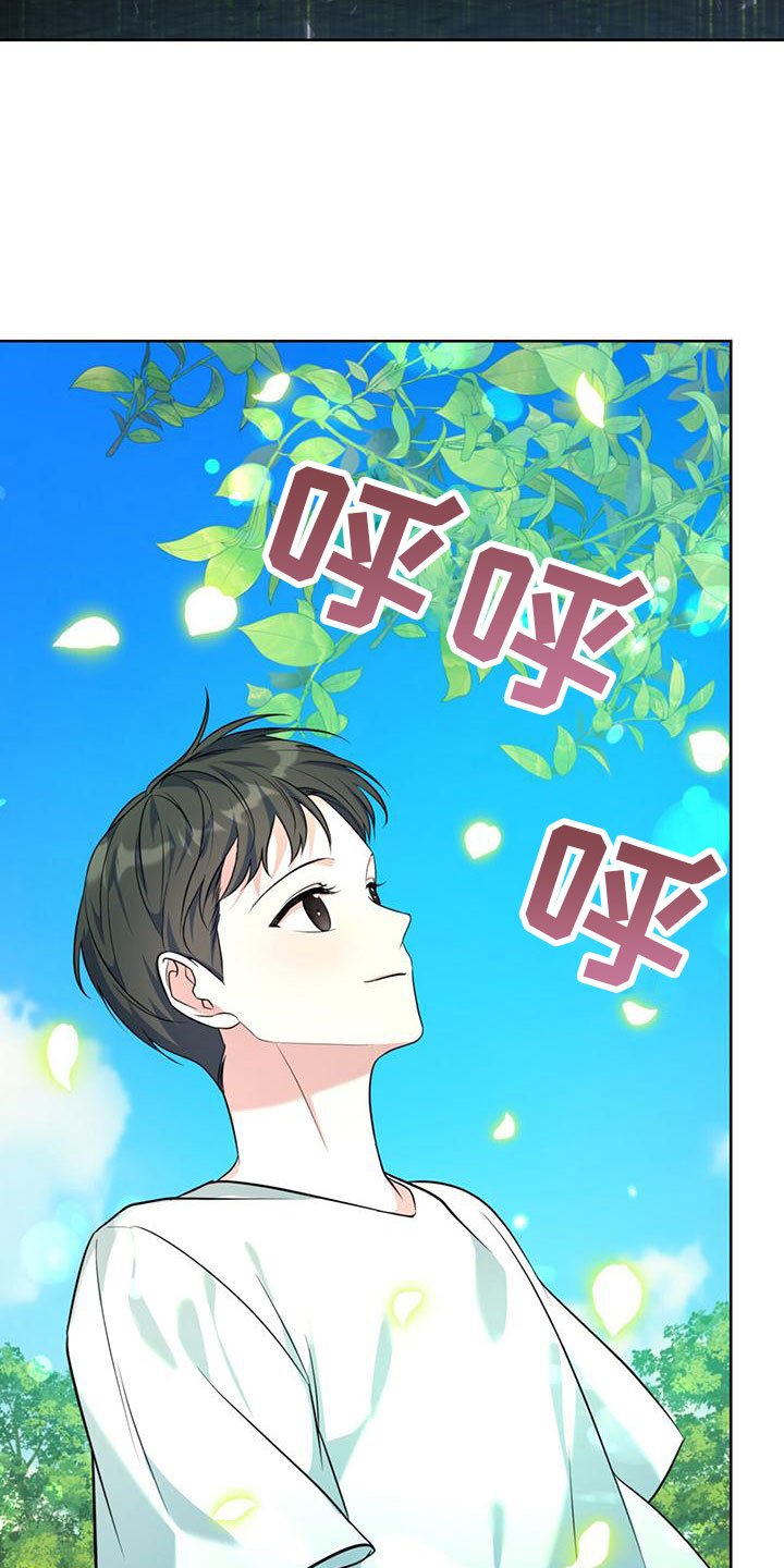 《温情之森》漫画最新章节第1章：初见免费下拉式在线观看章节第【27】张图片