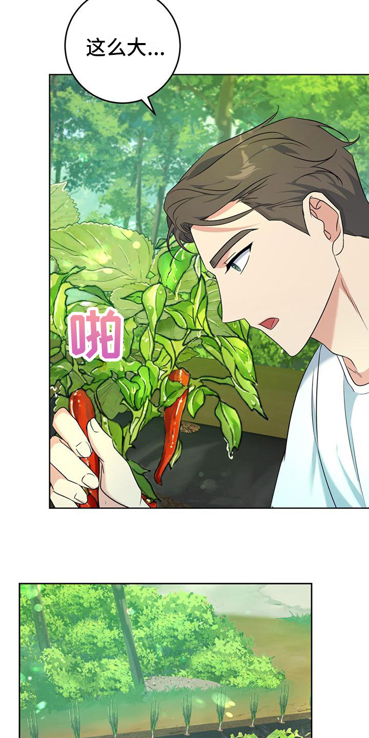 《温情之森》漫画最新章节第6章：抱你走免费下拉式在线观看章节第【29】张图片