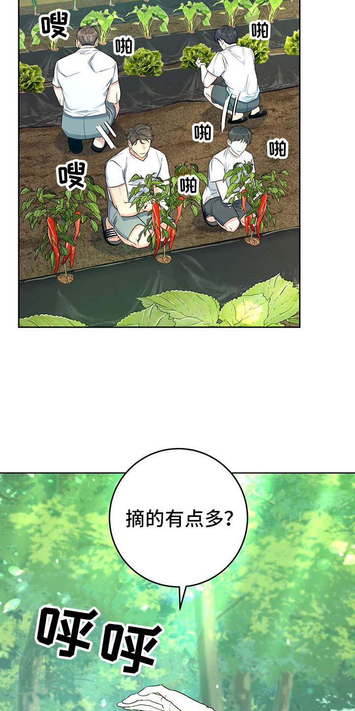 《温情之森》漫画最新章节第6章：抱你走免费下拉式在线观看章节第【28】张图片