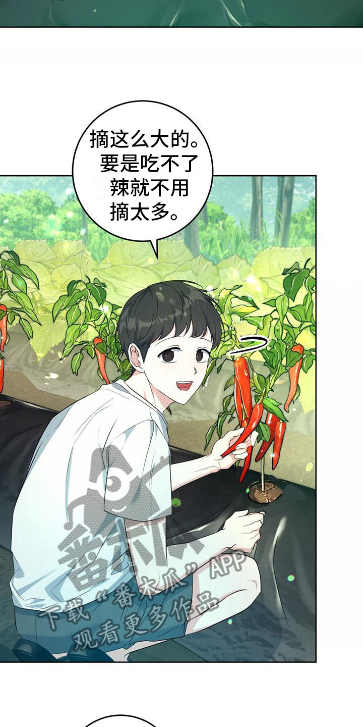 《温情之森》漫画最新章节第6章：抱你走免费下拉式在线观看章节第【30】张图片