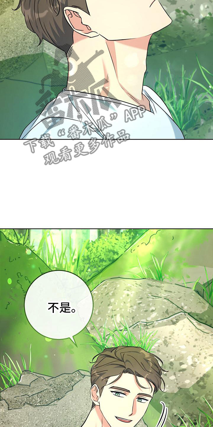 《温情之森》漫画最新章节第7章：真相免费下拉式在线观看章节第【3】张图片