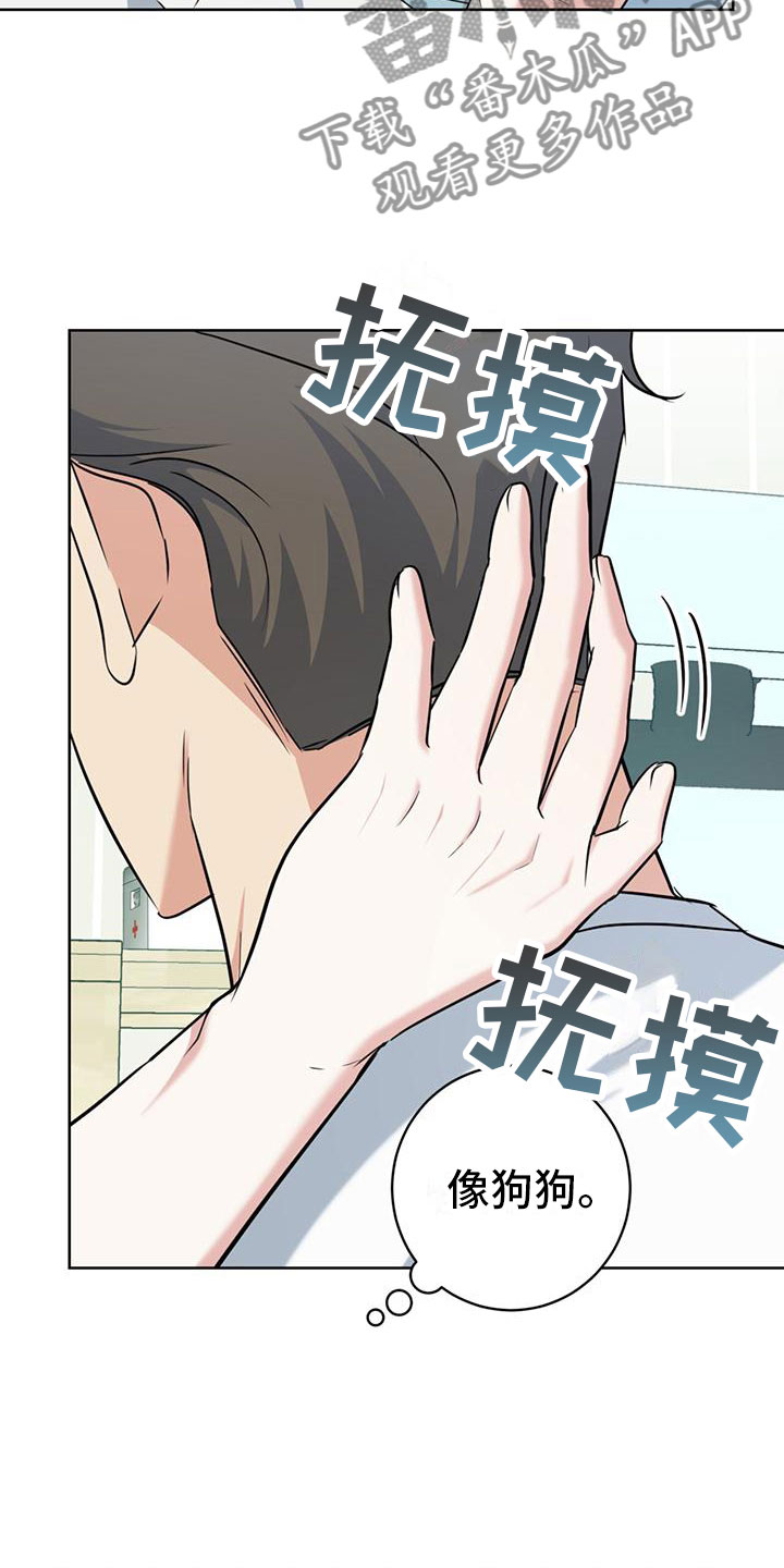 《温情之森》漫画最新章节第9章：出柜免费下拉式在线观看章节第【26】张图片