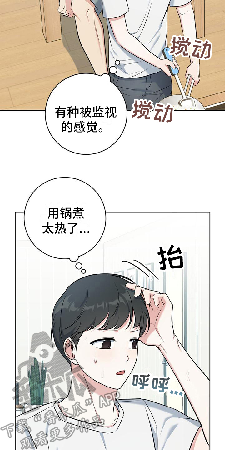 《温情之森》漫画最新章节第17章：一直盯着免费下拉式在线观看章节第【25】张图片