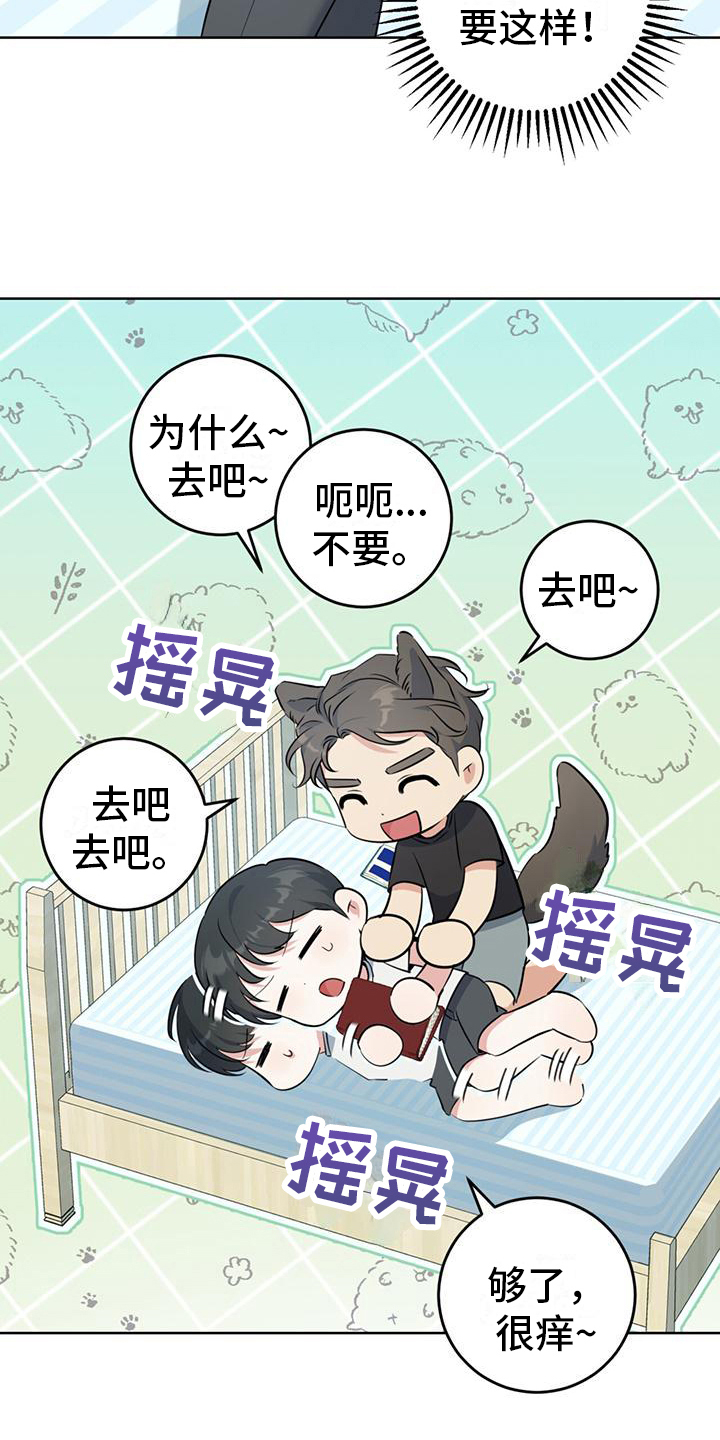 《温情之森》漫画最新章节第20章：星空免费下拉式在线观看章节第【27】张图片