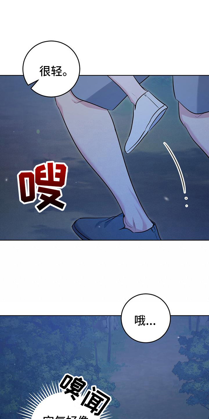 《温情之森》漫画最新章节第20章：星空免费下拉式在线观看章节第【21】张图片