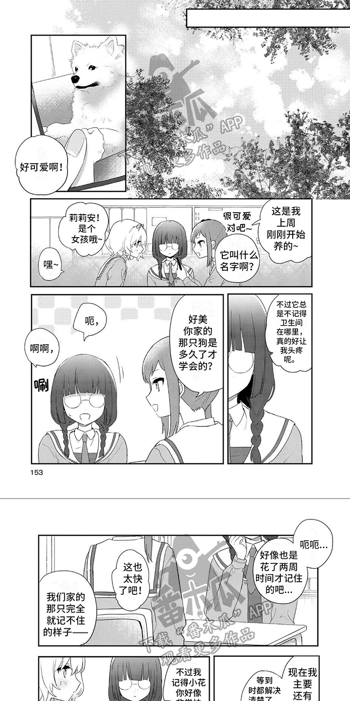 《爱与花》漫画最新章节第19章：目击者免费下拉式在线观看章节第【6】张图片