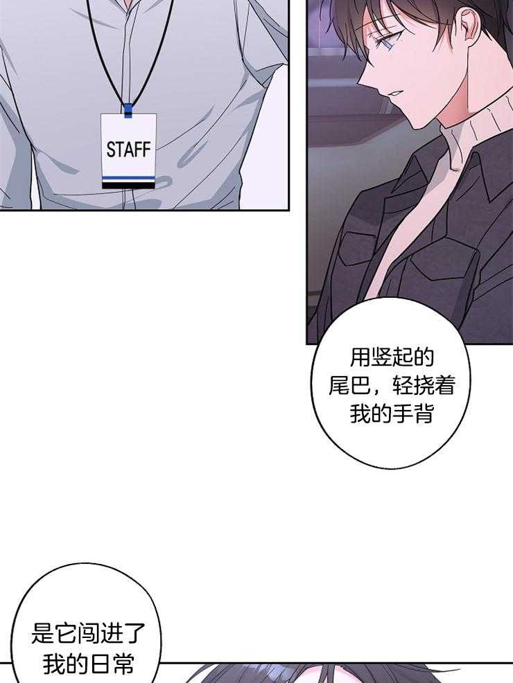 《Stand by me！》漫画最新章节第21话 撩人的小猫咪免费下拉式在线观看章节第【21】张图片