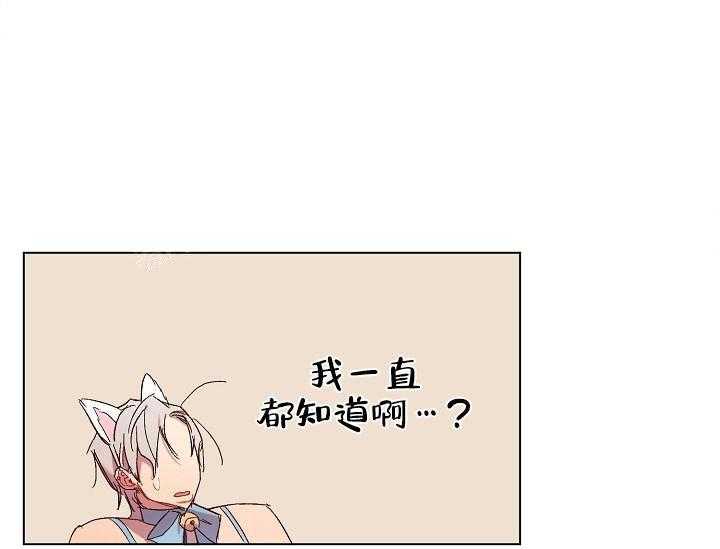 《突袭奇妙玩具》漫画最新章节第18话 无用的礼物（完）免费下拉式在线观看章节第【38】张图片