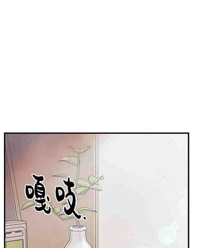 《偏偏》漫画最新章节第33话 33_ 虚实免费下拉式在线观看章节第【36】张图片