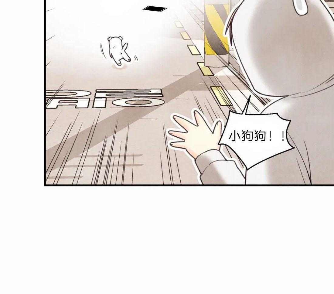 《偏偏》漫画最新章节第79话 礼物免费下拉式在线观看章节第【48】张图片