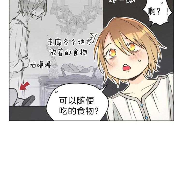 《逃跑计划》漫画最新章节第39话 打工免费下拉式在线观看章节第【7】张图片