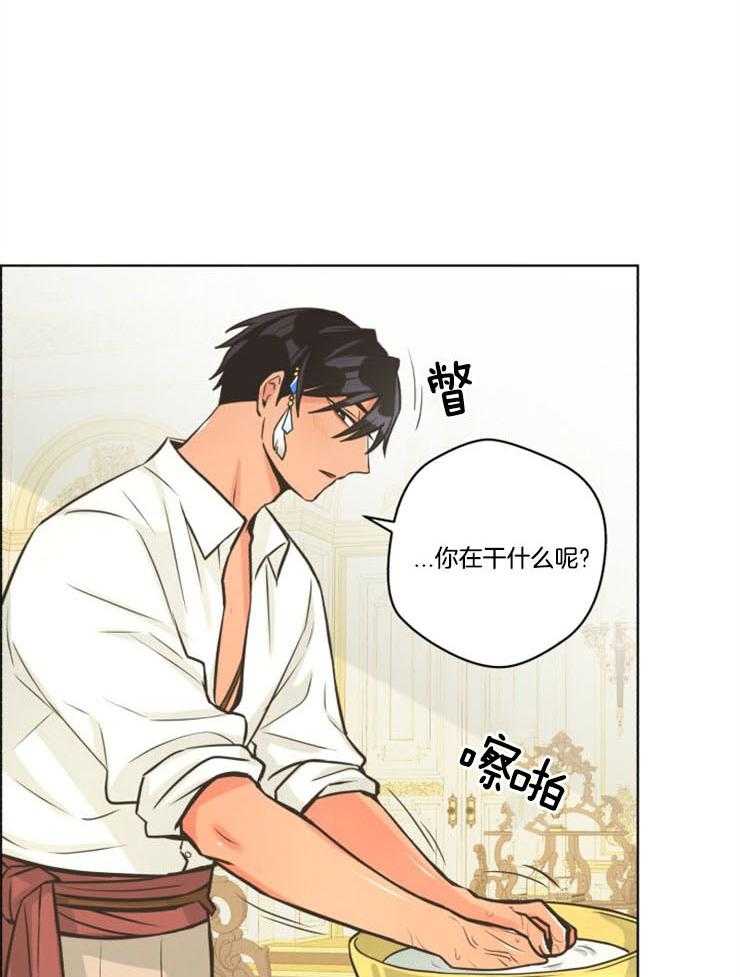 《逃跑计划》漫画最新章节第67话 某些原因免费下拉式在线观看章节第【31】张图片