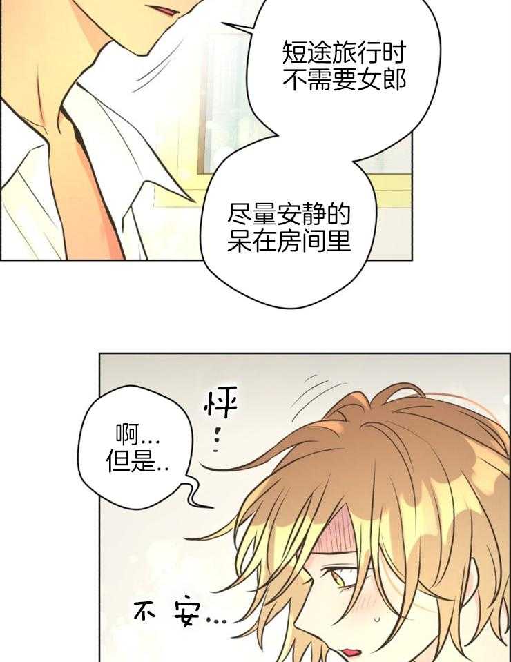 《逃跑计划》漫画最新章节第71话 危机解除免费下拉式在线观看章节第【19】张图片