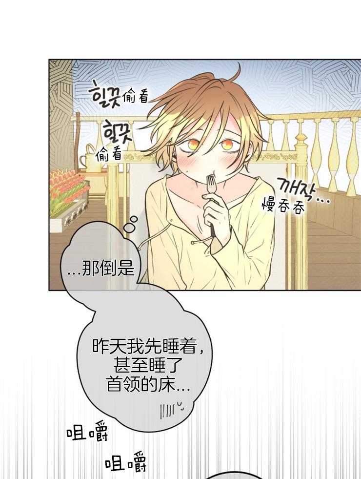 《逃跑计划》漫画最新章节第71话 危机解除免费下拉式在线观看章节第【32】张图片