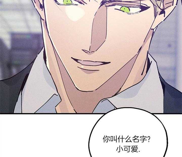 《司令他过分诱人》漫画最新章节第51话 小可爱，你叫？免费下拉式在线观看章节第【5】张图片