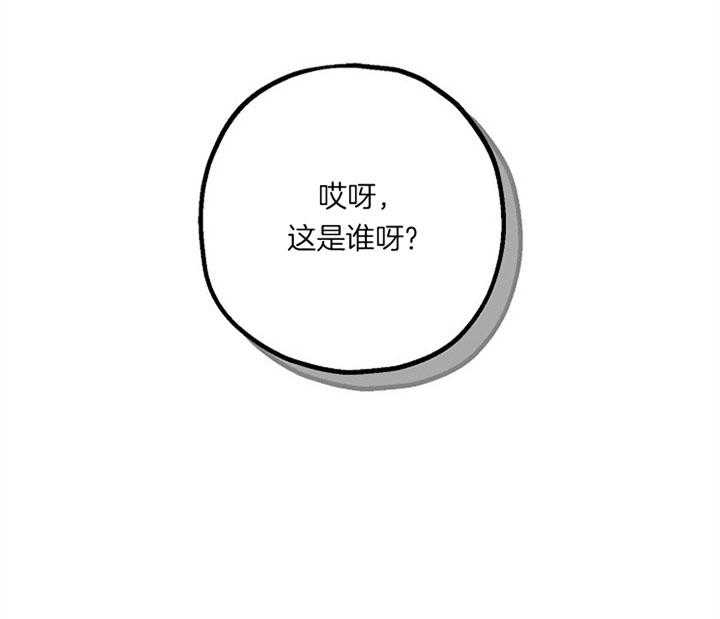 《司令他过分诱人》漫画最新章节第51话 小可爱，你叫？免费下拉式在线观看章节第【12】张图片