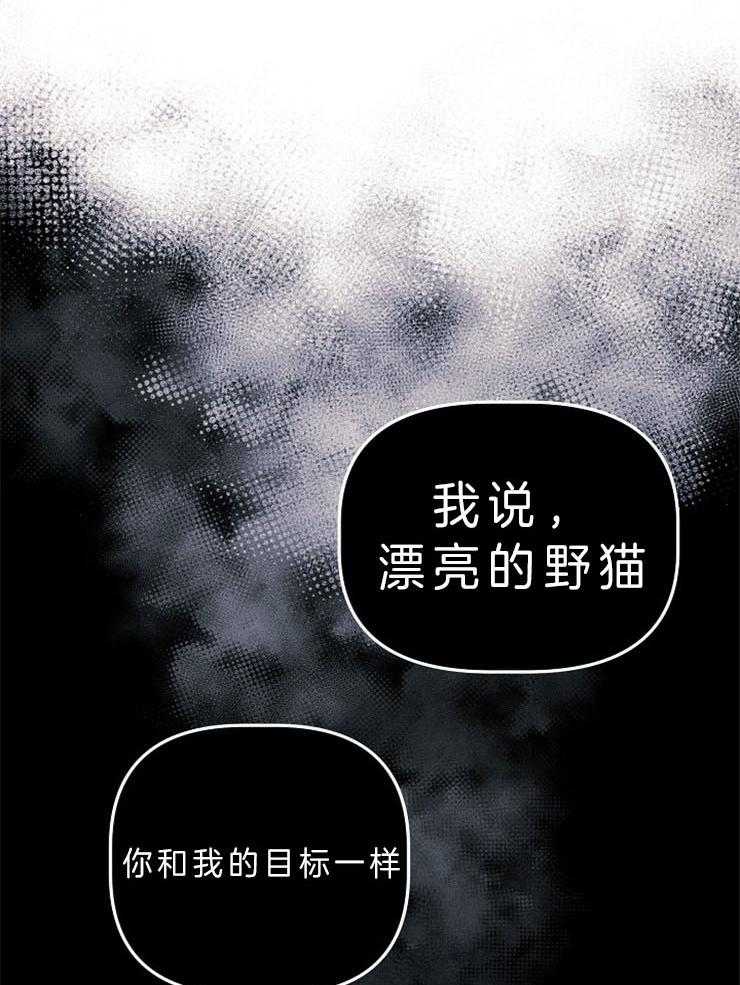 《司令他过分诱人》漫画最新章节第67话 合作提议免费下拉式在线观看章节第【27】张图片