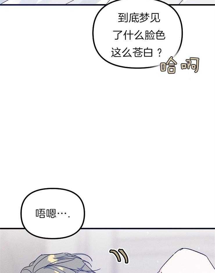 《司令他过分诱人》漫画最新章节第72话 特别篇_大公是谁？免费下拉式在线观看章节第【20】张图片