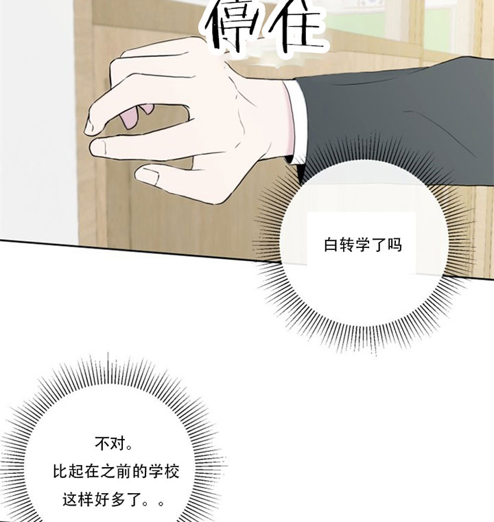 《BL定律》漫画最新章节第6话 6_第六话  双面免费下拉式在线观看章节第【30】张图片