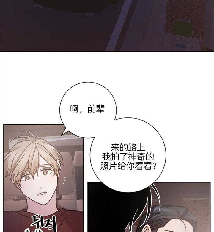 《分手的方法》漫画最新章节第56话 明知不是爱情免费下拉式在线观看章节第【12】张图片