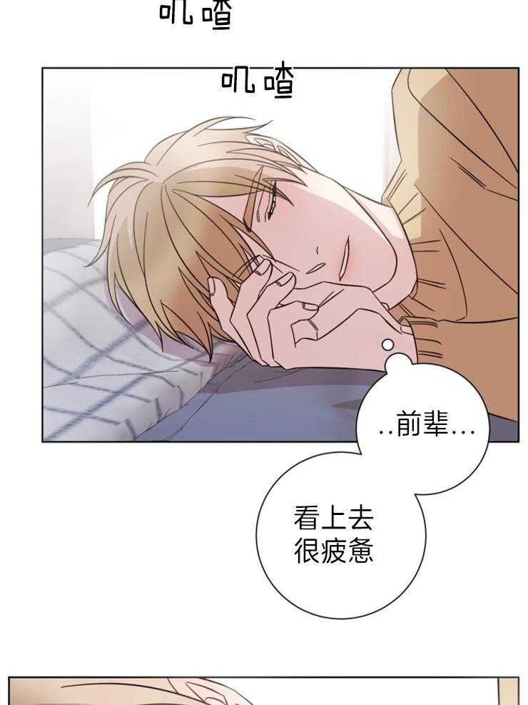 《分手的方法》漫画最新章节第102话 选择免费下拉式在线观看章节第【11】张图片