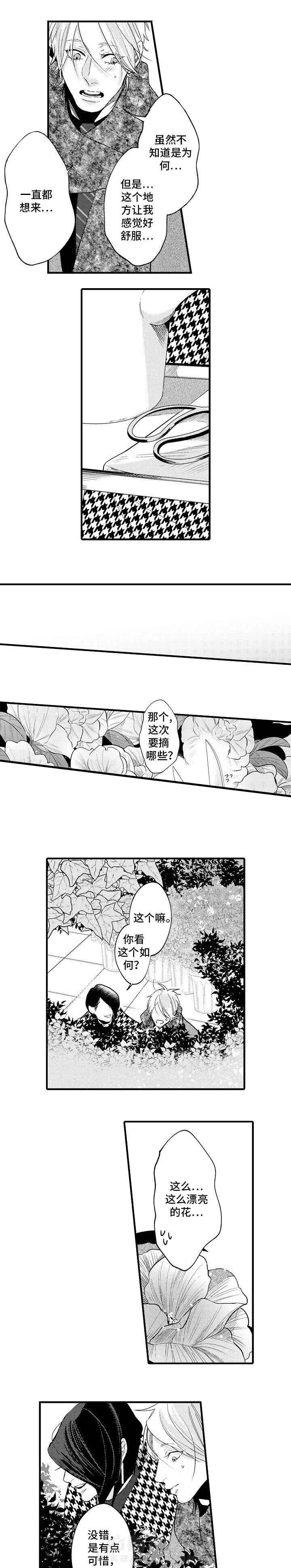 《花香识你》漫画最新章节第28话 人亦如花啊免费下拉式在线观看章节第【4】张图片