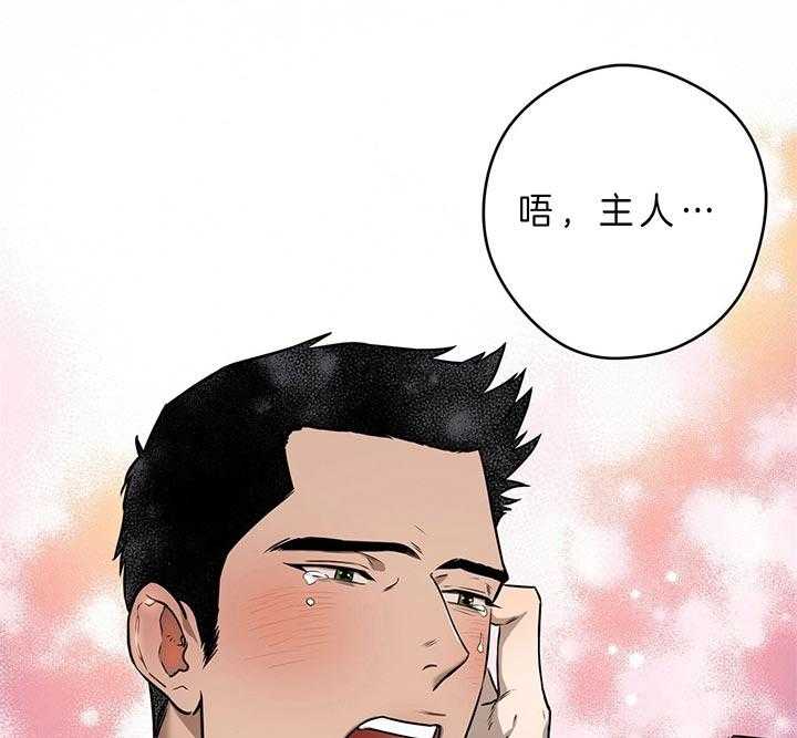 《绝对服从》漫画最新章节第55话 因为说了要忍住免费下拉式在线观看章节第【12】张图片