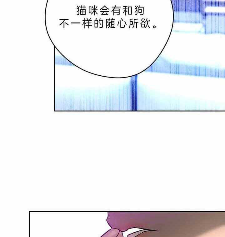 《绝对服从》漫画最新章节第59话 是花英先生的猫咪免费下拉式在线观看章节第【15】张图片