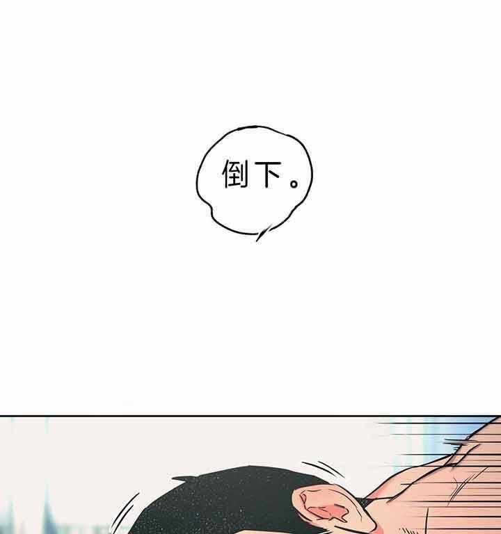 《绝对服从》漫画最新章节第59话 是花英先生的猫咪免费下拉式在线观看章节第【34】张图片