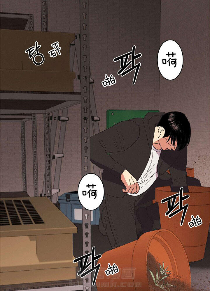 《亲爱的本杰明（第二季）》漫画最新章节第16话 应对免费下拉式在线观看章节第【9】张图片